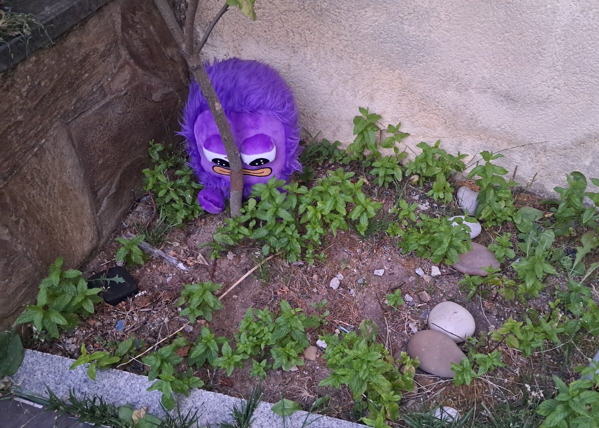 A wild molandak appears to be hidden to avoid being purged 🔫 from <a href="/monad/">Monad ⨀</a>

Definetly nobody could find a better place 🙂‍↕️🤓

But if u found one pls let molandak know 🙏🏻🙏🏻🙏🏻