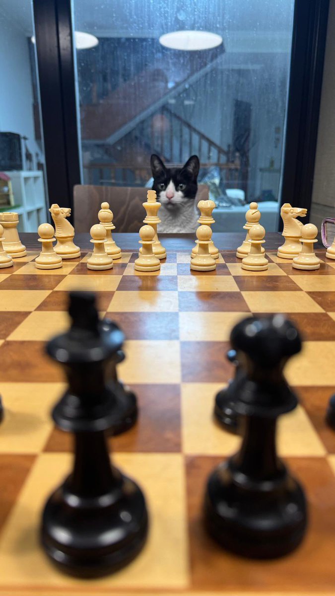 davidllada's tweet image. I miss this little guy