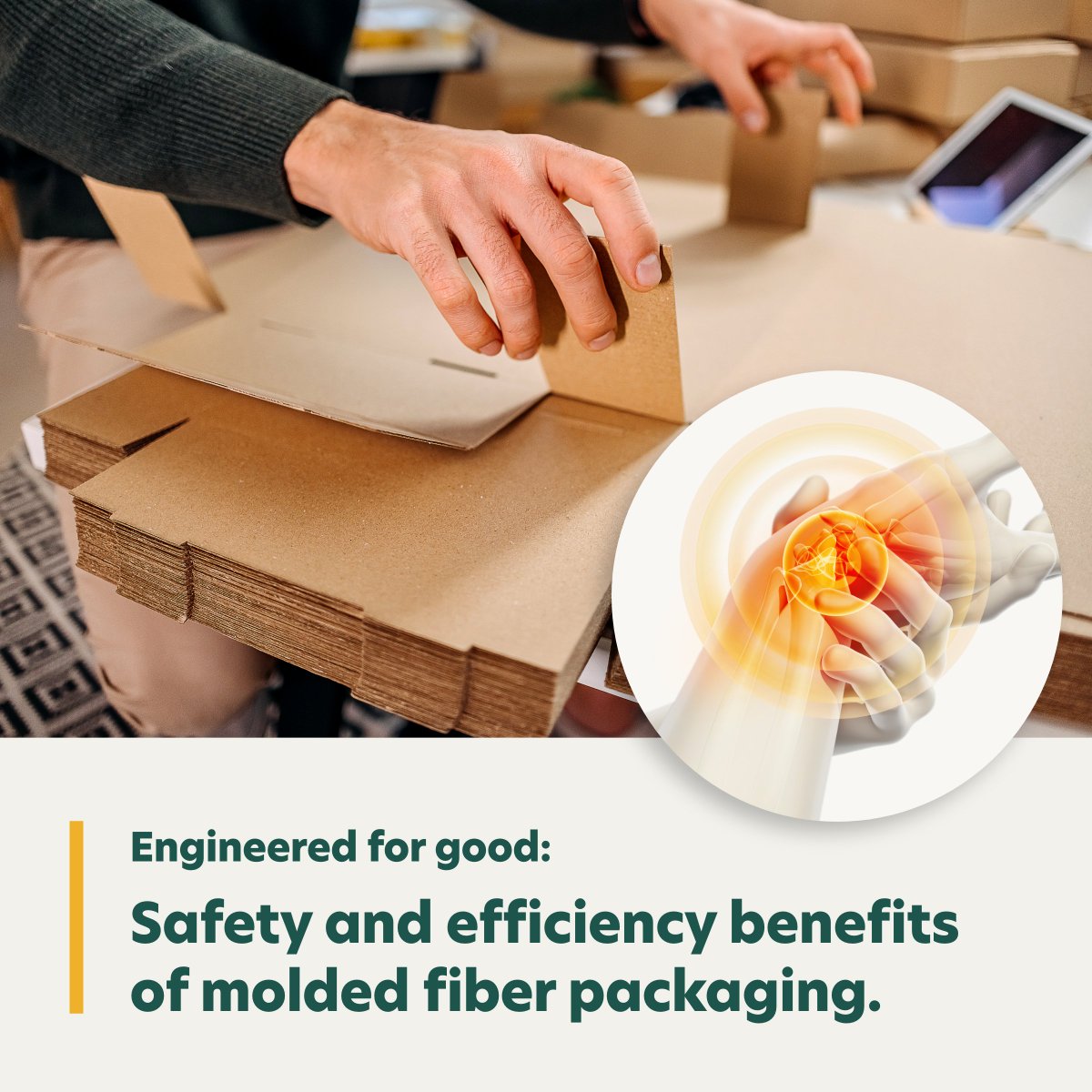 EnviroPAK - Think positive. Think molded fiber. tweet media