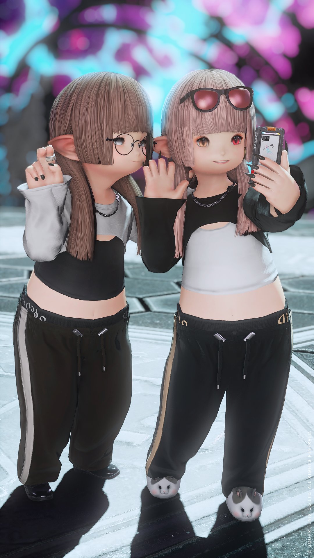 ごまちゃん❁ ペす🦴お散歩🦮🐈‍⬛ on X: 