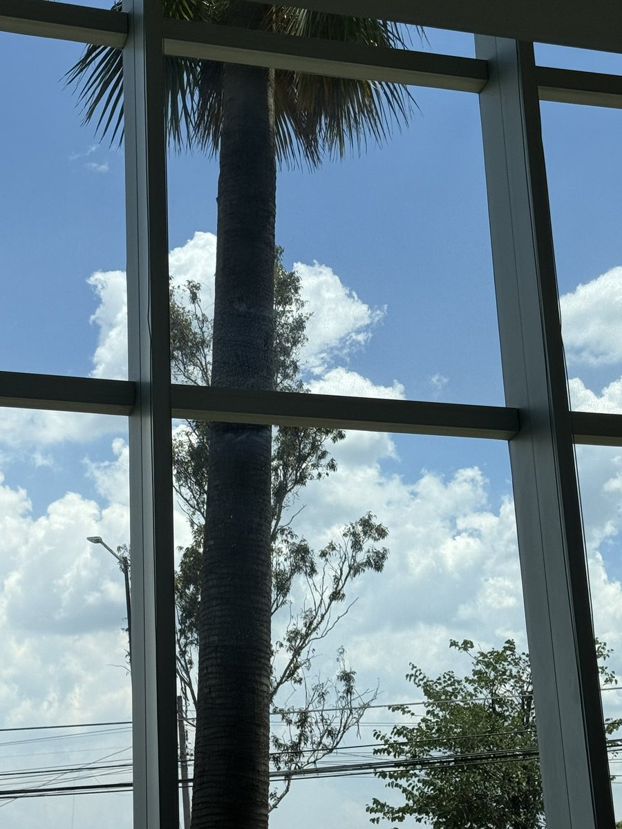 Handling title issues so I can get my client closed on while on my lunch break. I’ll be doing more walking this afternoon. 😌