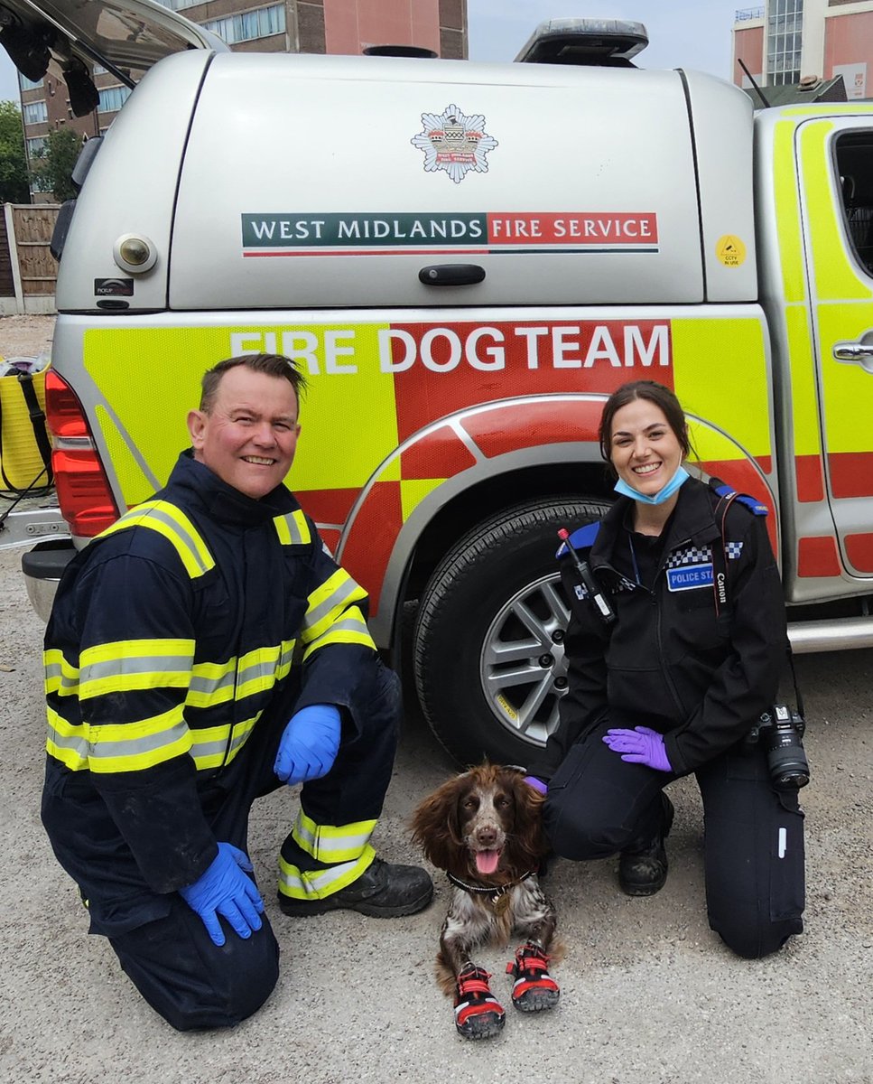 WMFS Fire Investigation Dog (@wmfsfiredog) on Twitter photo Helped out our friends in <a href="/StaffsFire/">Staffordshire Fire and Rescue Service</a> and <a href="/StaffsPolice/">Staffordshire Police</a> today. Giddy making new acquaintances... Helped out our friends in <a href="/StaffsFire/">Staffordshire Fire and Rescue Service</a> and <a href="/StaffsPolice/">Staffordshire Police</a> today. Giddy making new acquaintances...