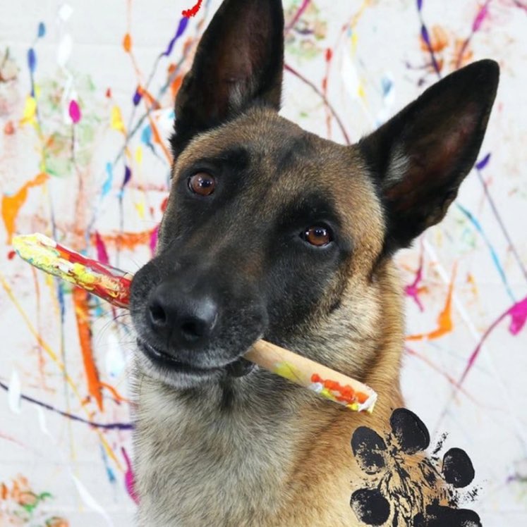 jonnybegoody19's tweet image. Buying the dip here 🐕 🎨
The dog doesn’t stop painting, 2 shows this week, 1 more billboard coming.
Few 🖊️