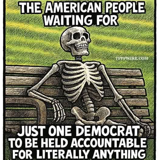 <a href="/DineshDSouza/">Dinesh D'Souza</a> 🤣🤣🤣🤣  she is untouchable and EVERYONE knows it