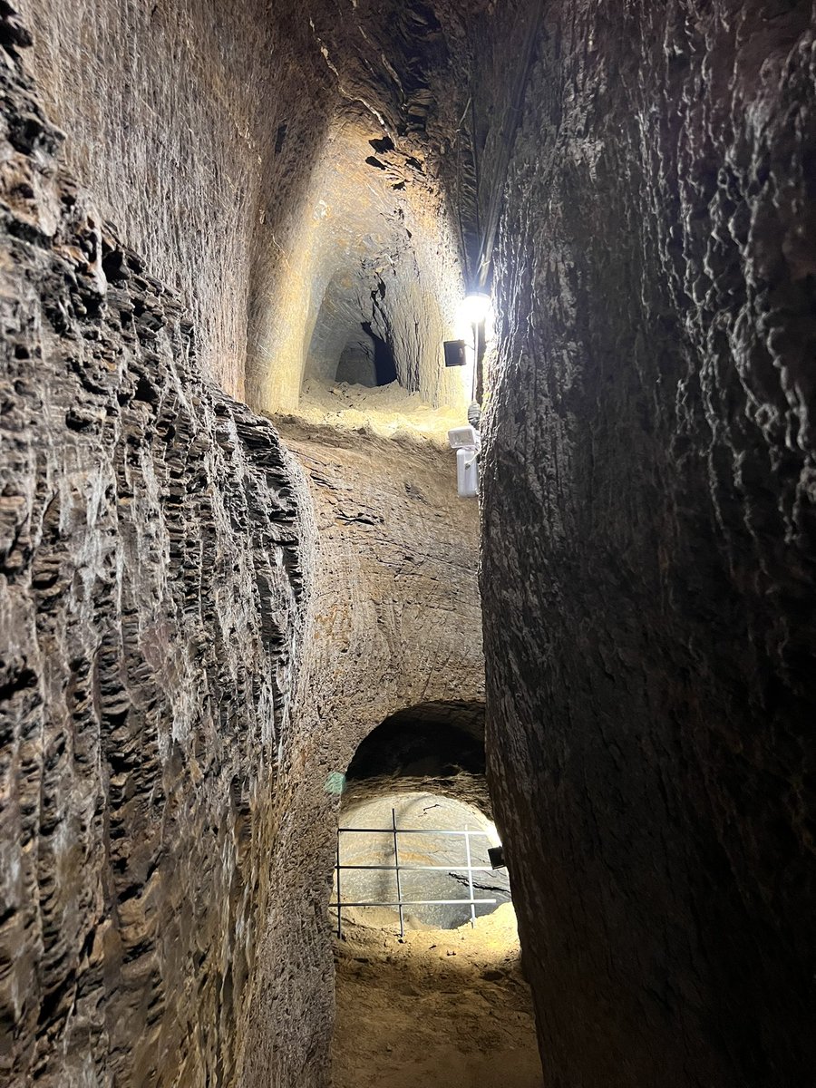 k_gaidzik's tweet image. #NCNOpus projects during the 19th International Speleological Congress in Belo Horizonte, Brazil
@NCN_PL