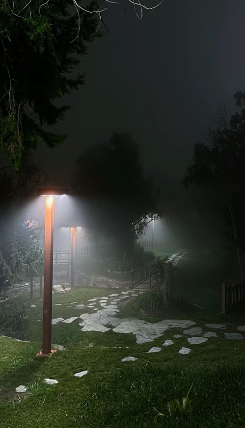 H901T's tweet image. Raghdan Forest in Al Baha at night… bro, the vibe just hits different 🌌🌲
Cool breeze and dead silence — makes you forget the world ✨🌙
If peace had a location, it’d be right there 📍
#MiddleEast #SaudiArabia #AlBaha #SaudiNature #RaghdanForest
#SaudiTourism