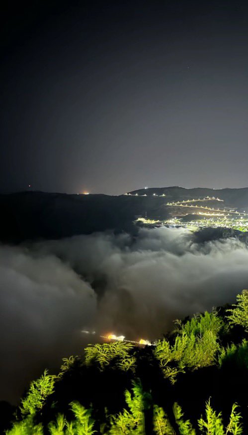 H901T's tweet image. Raghdan Forest in Al Baha at night… bro, the vibe just hits different 🌌🌲
Cool breeze and dead silence — makes you forget the world ✨🌙
If peace had a location, it’d be right there 📍
#MiddleEast #SaudiArabia #AlBaha #SaudiNature #RaghdanForest
#SaudiTourism
