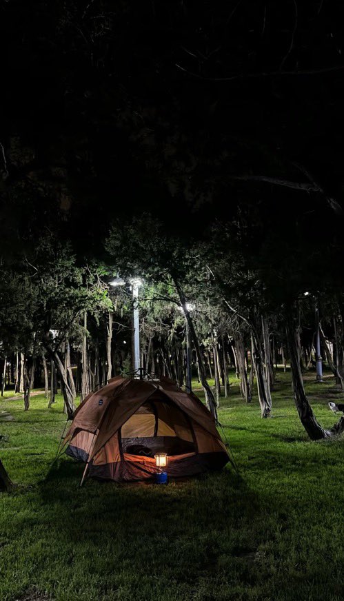 H901T's tweet image. Raghdan Forest in Al Baha at night… bro, the vibe just hits different 🌌🌲
Cool breeze and dead silence — makes you forget the world ✨🌙
If peace had a location, it’d be right there 📍
#MiddleEast #SaudiArabia #AlBaha #SaudiNature #RaghdanForest
#SaudiTourism