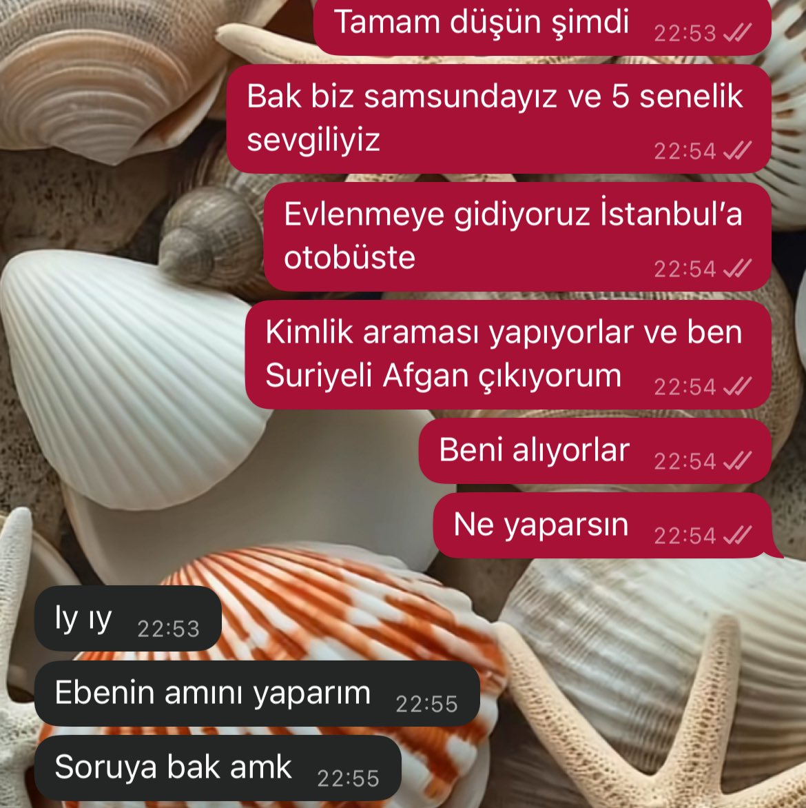 mutantsiksavar's tweet photo. Şöyle salak salak soru sormayı özlemişiz ya (tadı çok güzel)
Bu çocuktan olur bu arada 💁🏻‍♀️ https://t.co/2NQmOcHAAW