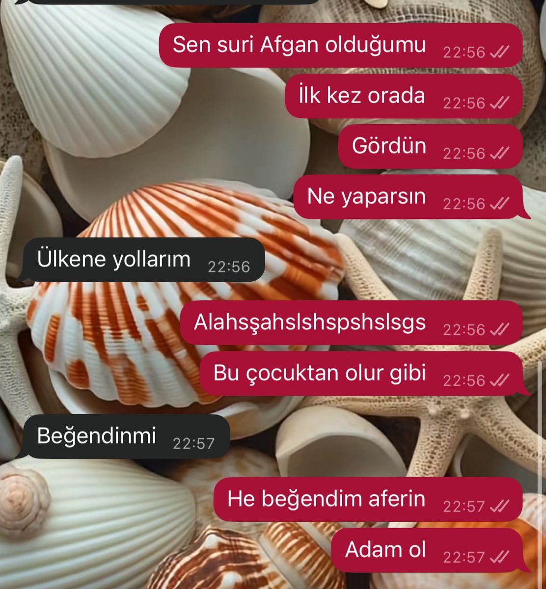Şöyle salak salak soru sormayı özlemişiz ya (tadı çok güzel)
Bu çocuktan olur bu arada 💁🏻‍♀️