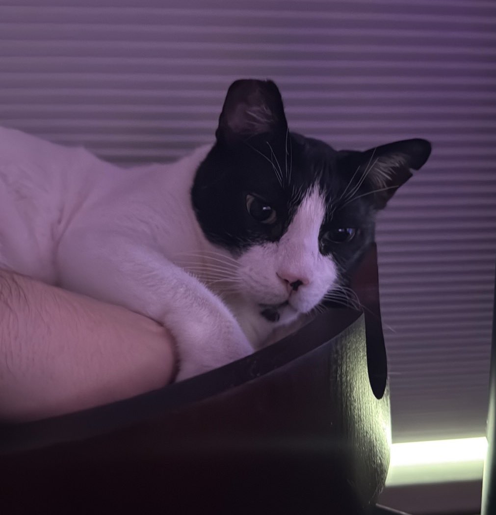 Bruce✨ tweet media