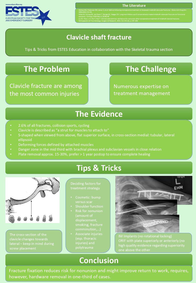 European Society for Trauma & Emergency Surgery (@estesonline) on Twitter photo 🚨 New ESTESGo resources are now LIVE! 🚨
🆕 Topics include:
🔹 FAST
🔹 Clavicle Shaft Fractures
🔹 Perforated Peptic Ulcers
🔹 Pelvic Ring Stability
Access them now ➡️ estesonline.org/education/este… #SurgicalEducation <a href="/diemar70/">Diego Mariani</a> <a href="/garybassmd/">Gary Alan Bass</a> <a href="/HayatoKuri67/">Hayato Kurihara</a> <a href="/LandaluceAitor/">Aitor Landaluce</a> 🚨 New ESTESGo resources are now LIVE! 🚨
🆕 Topics include:
🔹 FAST
🔹 Clavicle Shaft Fractures
🔹 Perforated Peptic Ulcers
🔹 Pelvic Ring Stability
Access them now ➡️ estesonline.org/education/este… #SurgicalEducation <a href="/diemar70/">Diego Mariani</a> <a href="/garybassmd/">Gary Alan Bass</a> <a href="/HayatoKuri67/">Hayato Kurihara</a> <a href="/LandaluceAitor/">Aitor Landaluce</a>