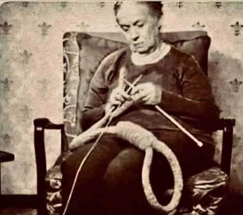 Tyler Thornton (@tyler_thor68088) on Twitter photo 