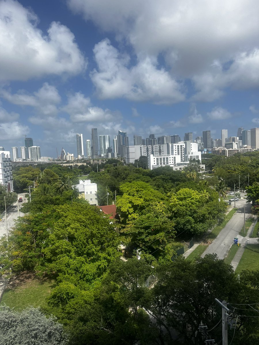 CoachJoeyy's tweet image. Views from campus!
#TridentsUp