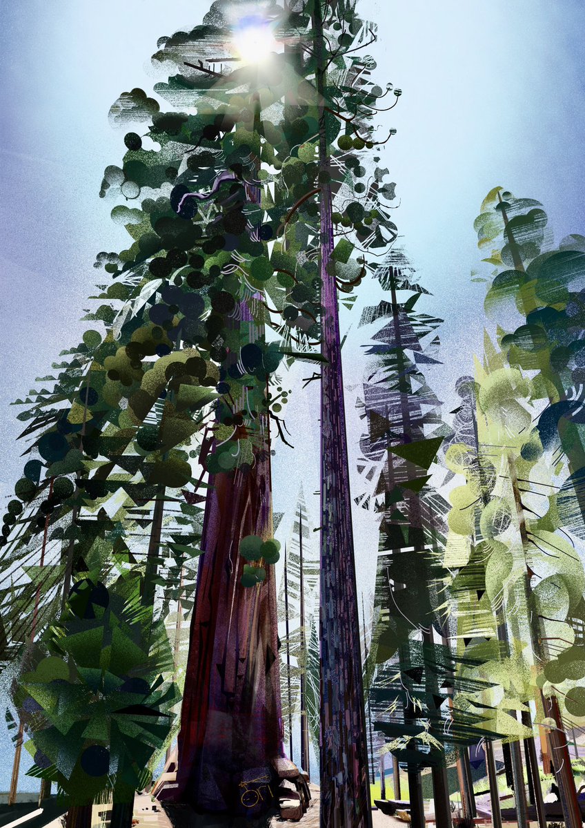 blumbop's tweet image. i went to visit the trees 🌲 

#procreate #pleinair