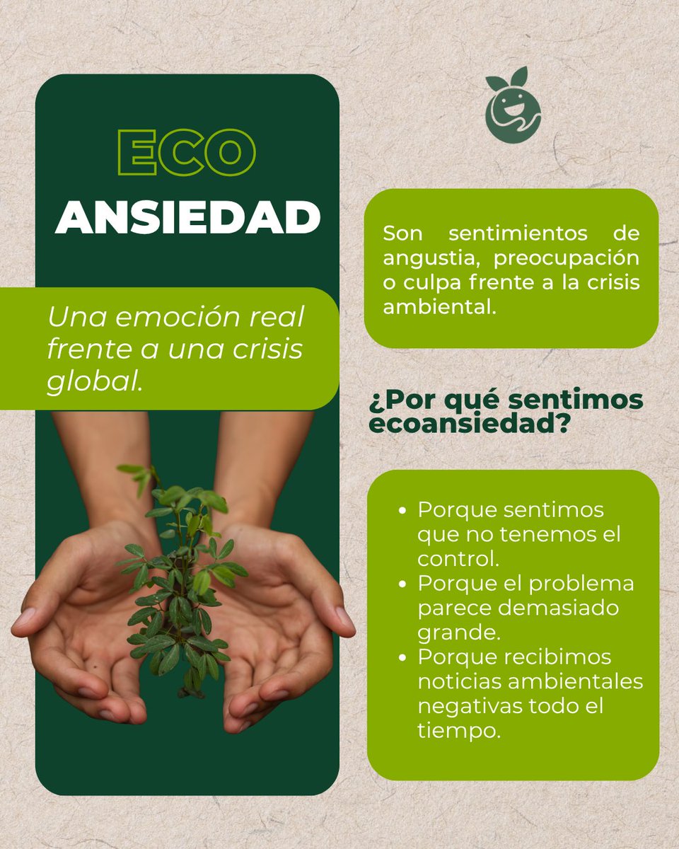 Red de Bancos de Alimentos de México tweet media