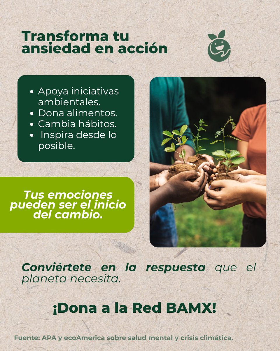 Red de Bancos de Alimentos de México tweet media