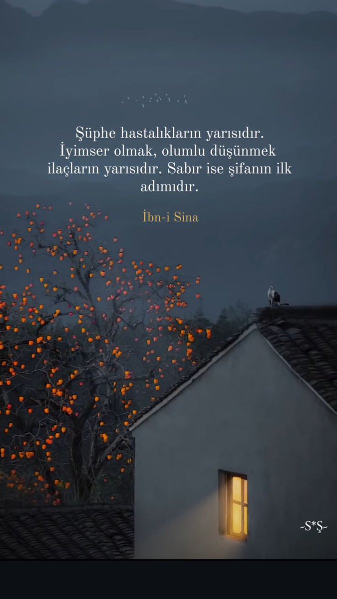 Ömer Faruk Yüce (@omerfarkyuce) on Twitter photo 