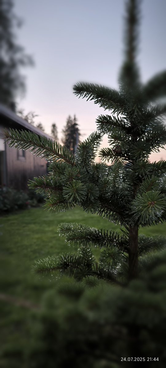 rvalerich1's tweet image. Давно у нас не было рубрики #СельскийЧас