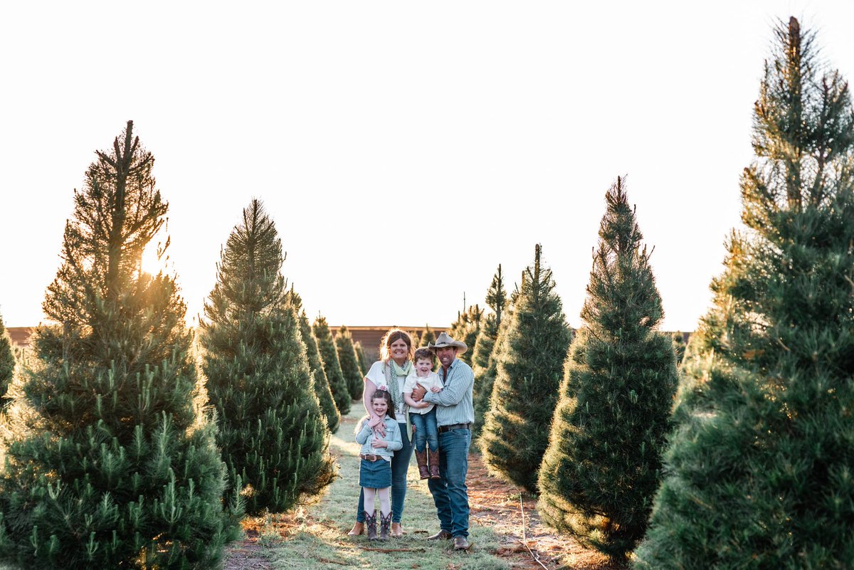 Happy Christmas in July!🎄🌟🧑‍🎄❄️ If you feel like getting into the Christmas spirit, have a listen to this amazing jingle. A Queensland family has transformed 20 acres of former apple orchards into a real Christmas tree plantation. Podcast: buff.ly/mnQDKvu