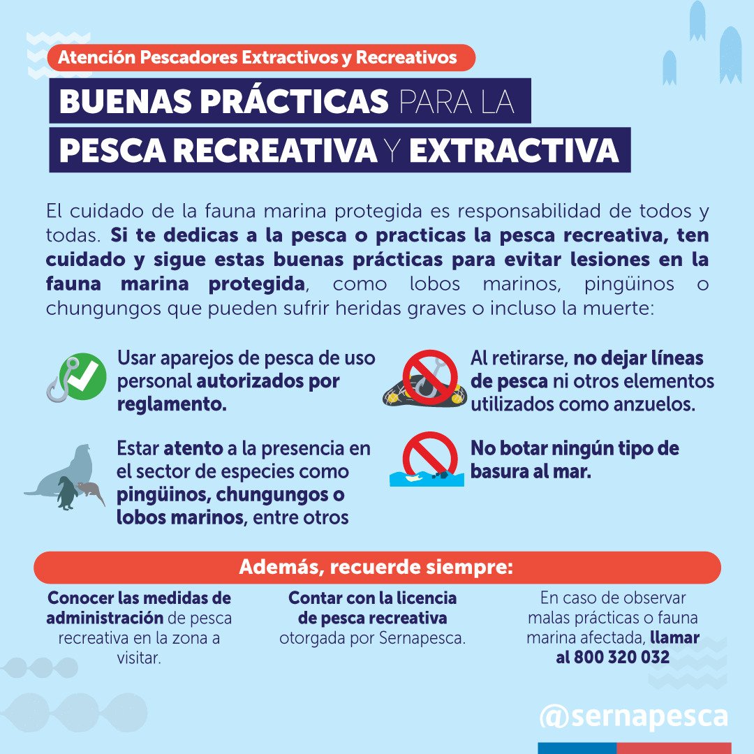¡Atención Pescadores y Pescadoras! Para evitar daños a la fauna marina protegida con elementos de pesca, les presentamos las siguientes recomendaciones de buenas prácticas para la pesca extractiva y recreativa.
¡Cuidemos a nuestra fauna protegida!