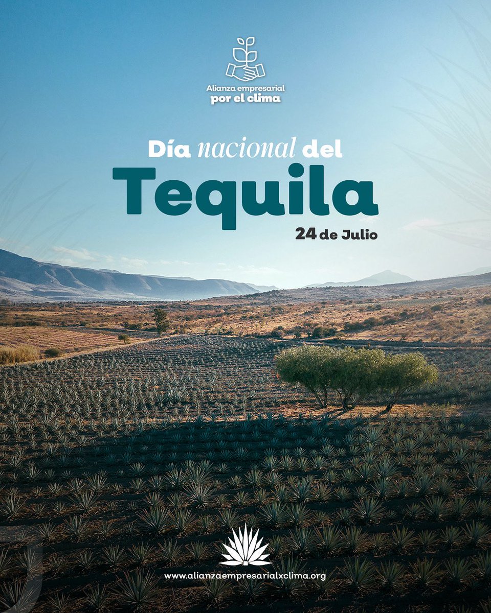 AlianzaExClima's tweet image. Hoy celebramos el Día Nacional del Tequila 🥃 y reconocemos a la industria por impulsar la agricultura regenerativa, el uso eficiente del agua y la descarbonización.
Junto con @CRTequila , @camaratequilera y varias empresas, trabajamos unidos por la sustentabilidad.
¡Salud!