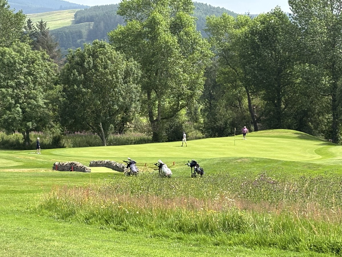 Susan Davies tweet media