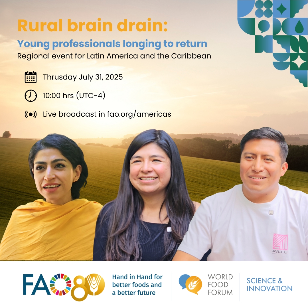 FAOCaribbean's tweet image. 👩🔬🌽 Rural youth with higher education and deep community roots: invisible talent that could reshape rural development.
💡 Learn how at the 2025 Science and Innovation Forum by @FAO.
📢 Virtual event | #SIF2025
🔗bit.ly/ScienceInnovat…