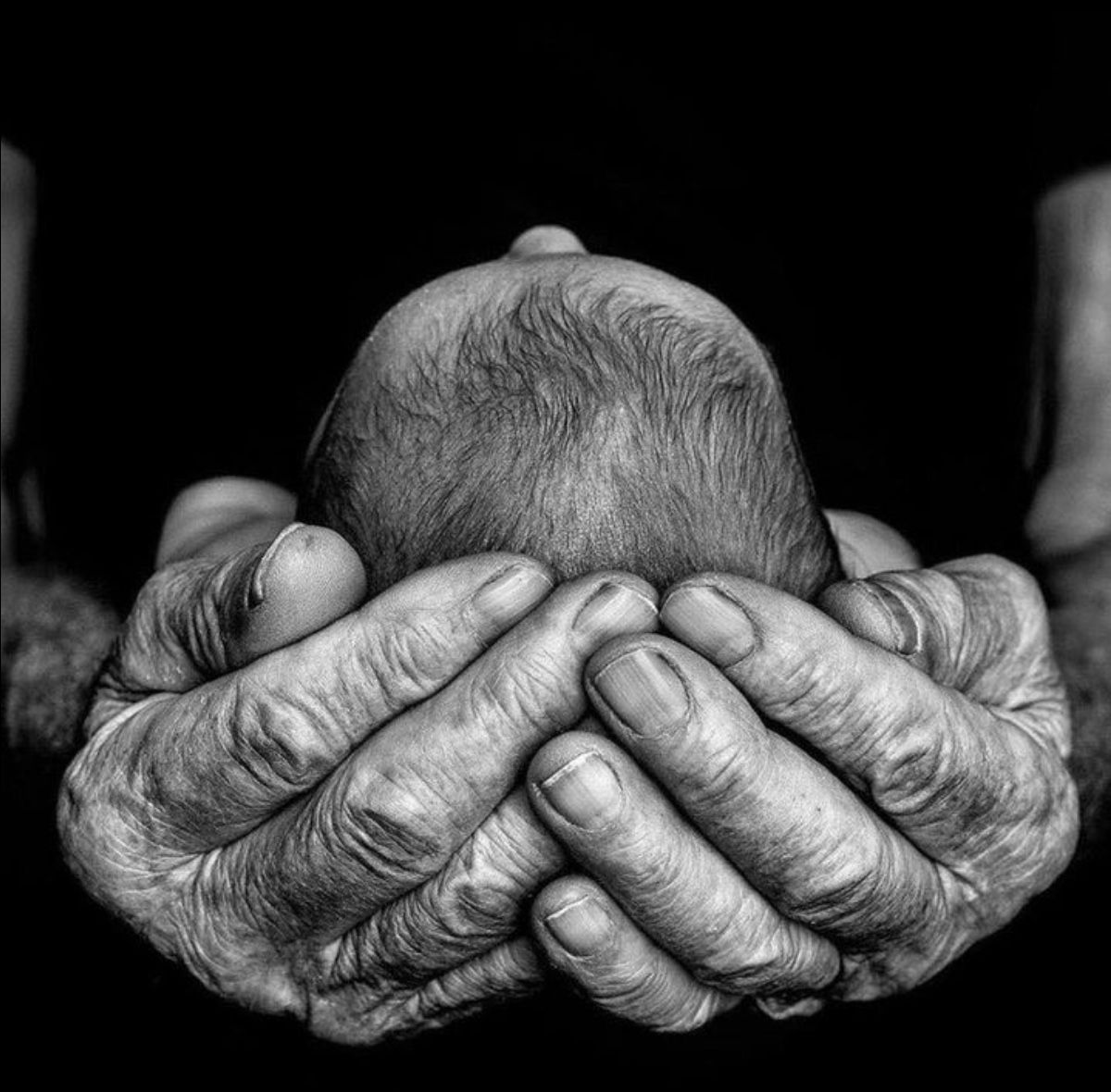 Theholypeace_'s tweet image. "Hayatlarımız herhangi bir şeye odaklanmalıysa, bu tamamen ve tümüyle 'insan' olmak olmalı. Ya da süreç en azından 'insan olmak'tan başlamalı..."
Öyle işte...🕊
Not: İnsani şeyleri daha iyi nasıl yapacağımı öğrenmek istiyorum. İnsan olmak ne demektir...🕊