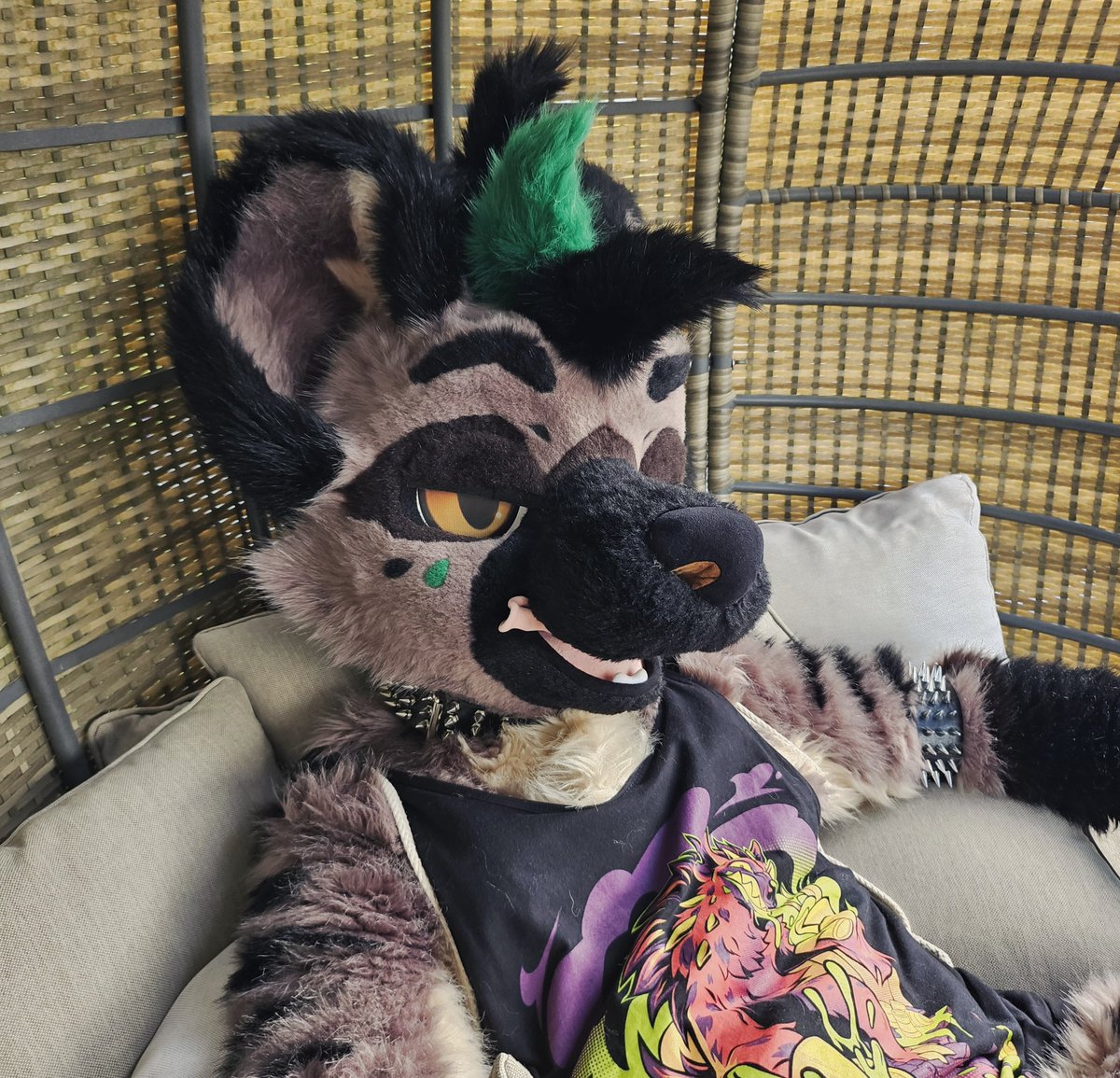 skittleshusk's tweet image. Who dares lounging with a yeen this summer (at your own risk) ?