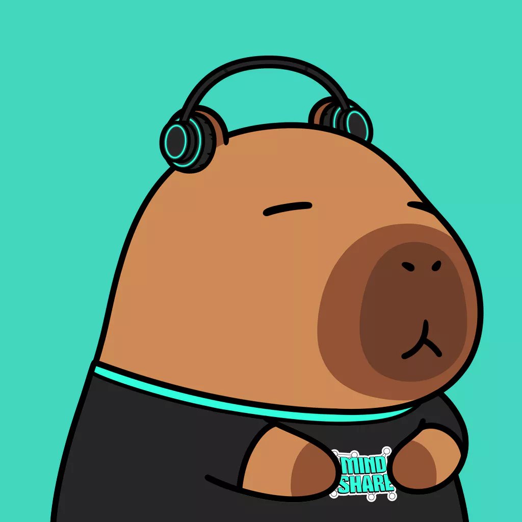 crypto_davys's tweet image. I have an idea
change your pfp to @KaitoAI Yapybara, what do you think?
I currently have two NFTs, and I can't decide which one is more suitable for me...