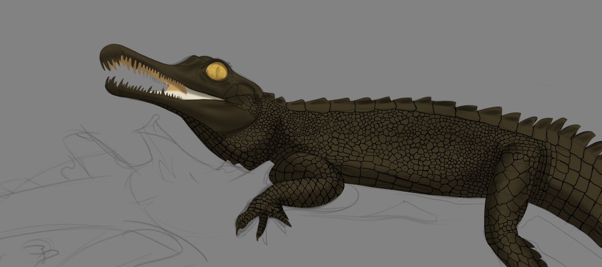 dinodanicus's tweet image. The process for my #phytosaur #illustration.
#prehistoric #paleoart #paleontology #rutiodon #wildlife #wildlifeart #triassic #not #a #dinosaur