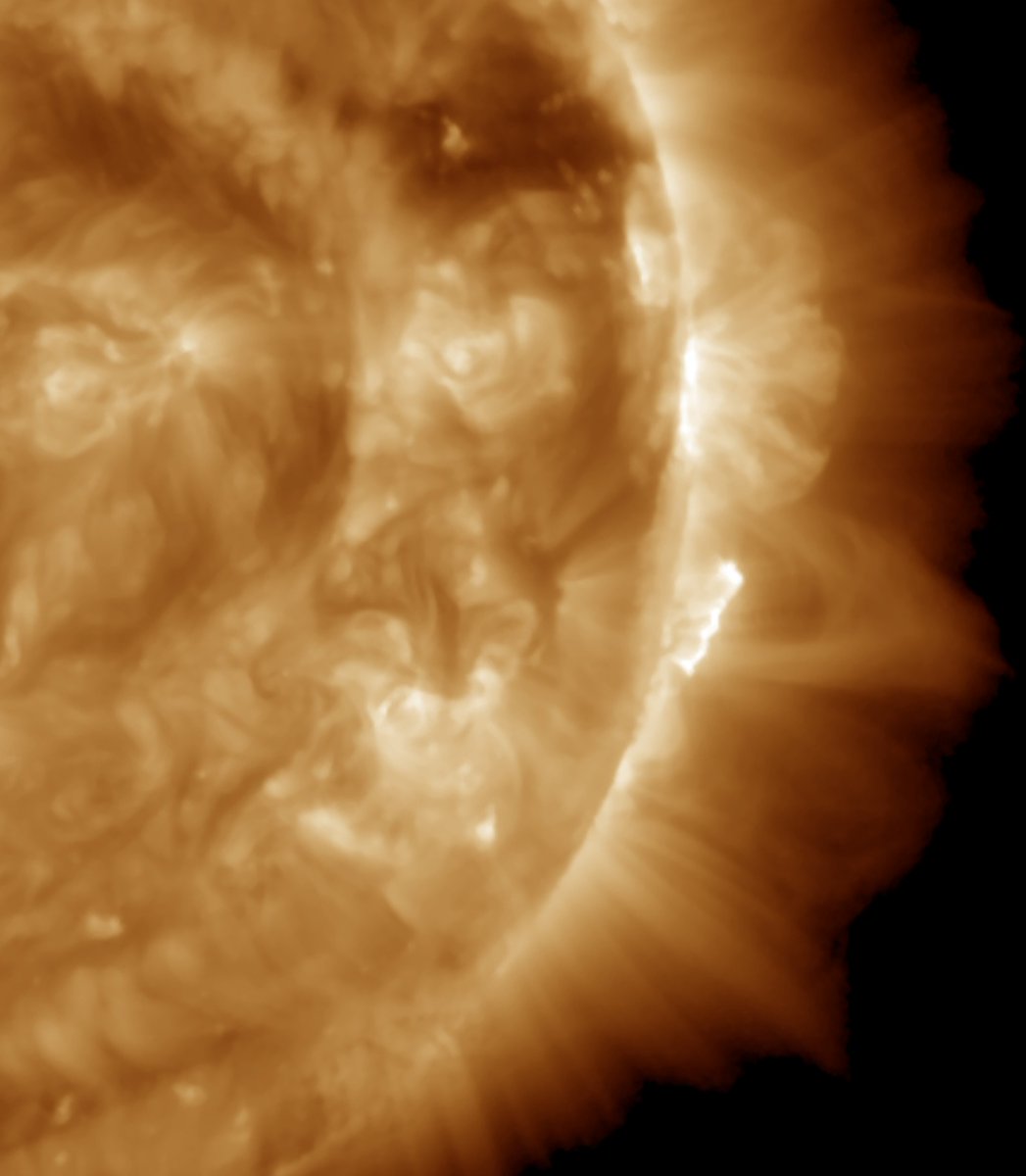HaelVoort's tweet image. I'm too lazy to do helioviewer but I'm sure these post-eruption arcades would look very nice in detail.
@JAL495588? 😅