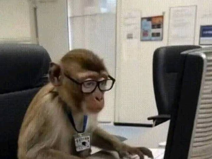EsaMal25's tweet image. Me at work after accidentally sending a mail with Good morning babe instead of Morning Madam. Straight to HR 😹😹