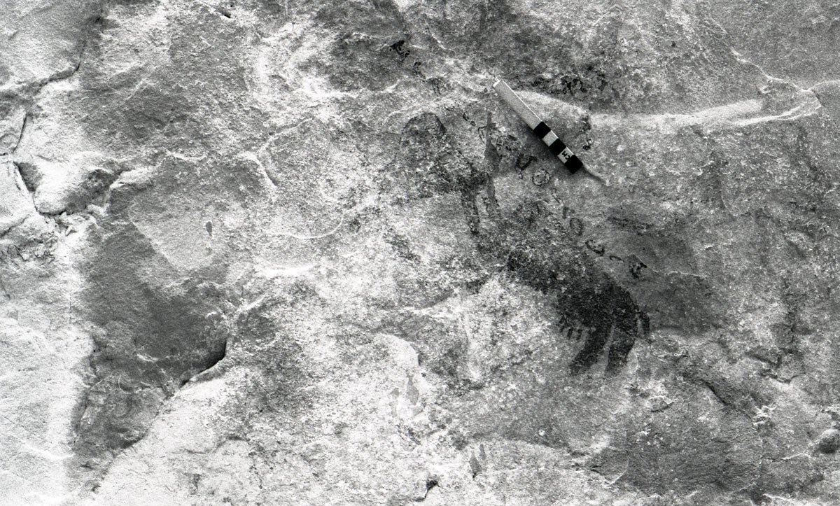OCIANA_OSU's tweet image. A phenomenal #Dhofari inscription recording the dedication of rock art to a deity referred to by the epithet: mʿl mḥmd معل محمد “the exalted praised one”. Read more in the commentary here: ociana.osu.edu/inscriptions/4…
