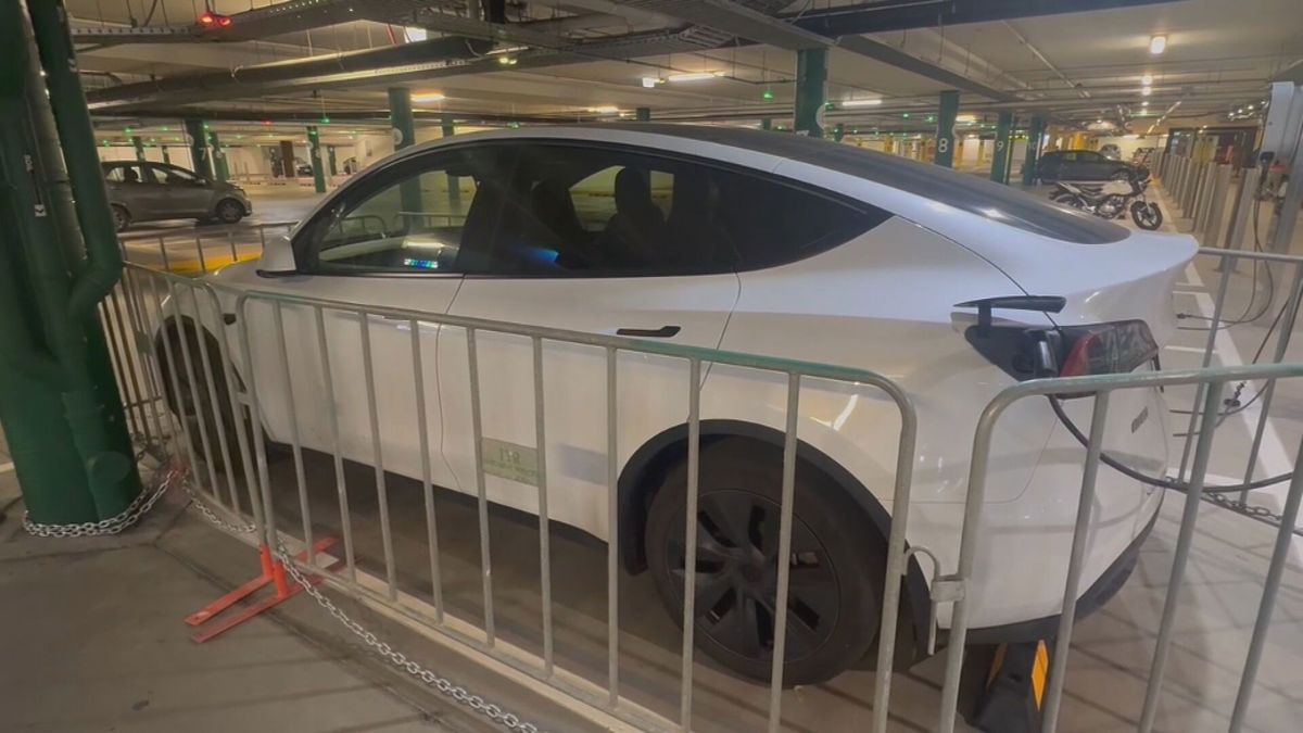 That's a keeper!

Where Elon belongs tbh