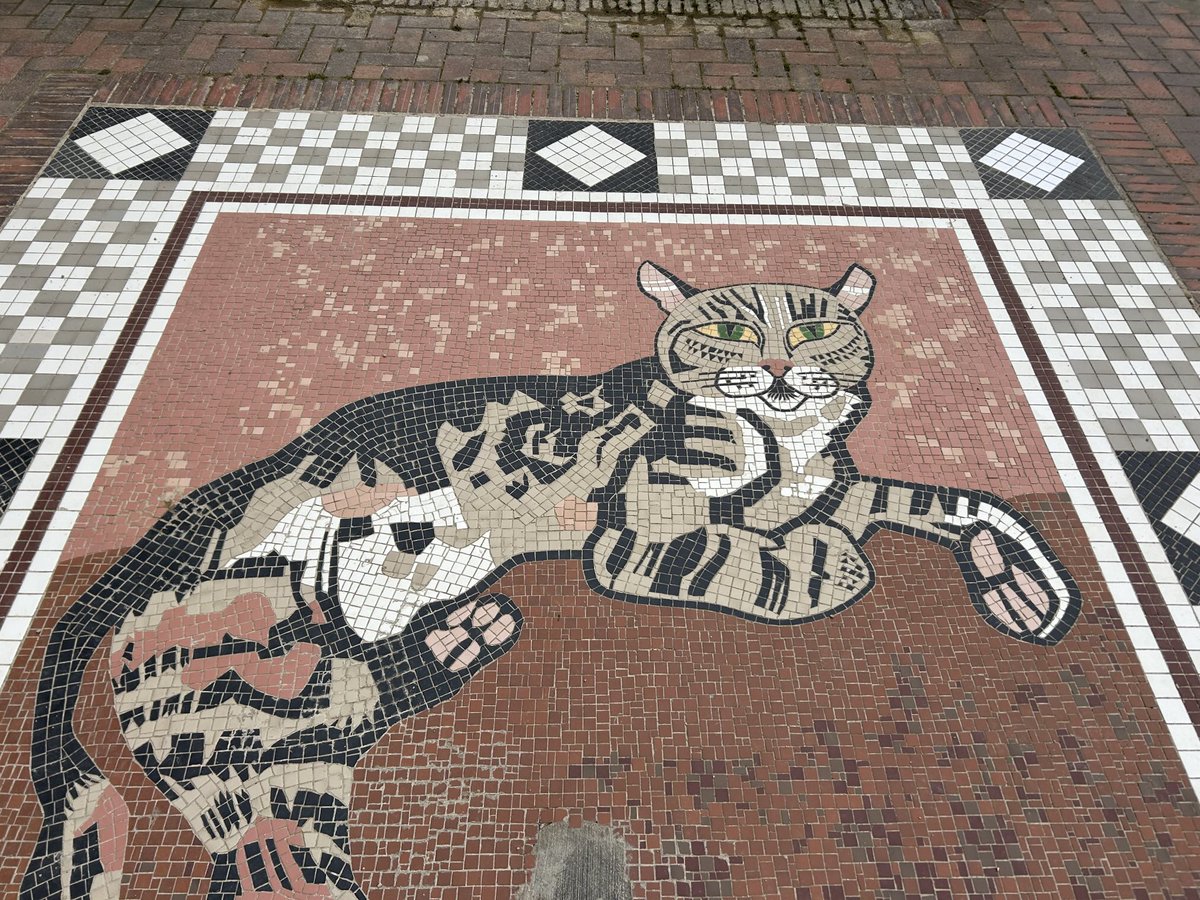 Well maintained, enjoyed by so many visitors to the city and but a few minutes away, I think of it as my back garden - Belfast Castle’s Cat Garden. Praise due, to the staff of @BelfastCC.