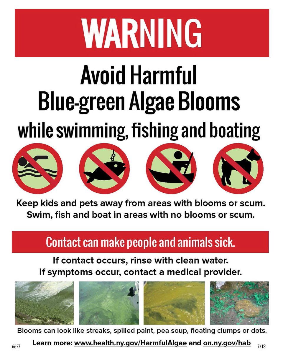 MCCoyCountyExec's tweet image. Please be advised that a significant blue-green algae bloom has developed at Lawson Lake that may pose health risks for the public. We advise that people and pets stay out of the water and do not fish, swim, or kayak until the lake is treated on August 1st. Algae blooms occur…