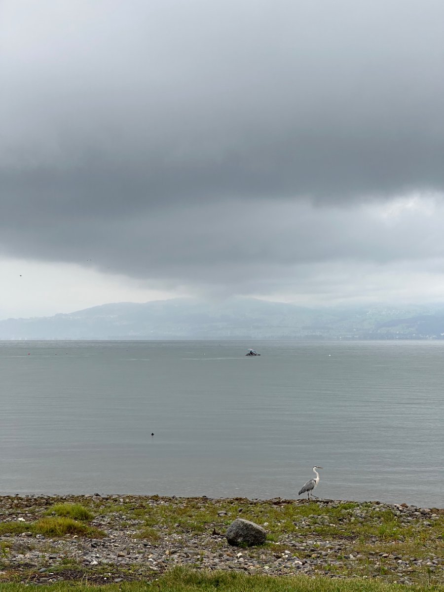 IronBart_com's tweet image. Want to run faster? Start with threshold runs.
Today I did 4×10 min at threshold pace.  Tough, but it felt like the real start of my marathon prep.
pace is improving. Sub 3:40 in October? Let’s go. 💪
Munich or 3-Länder-Marathon – what would you pick?
#Marathon #ThresholdRun