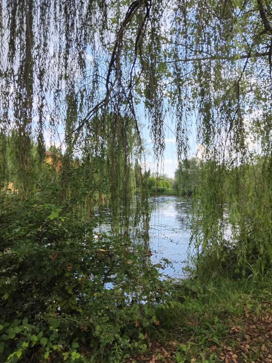 xinthiarella1's tweet photo. Summer time... https://t.co/nZgSvoTuwm