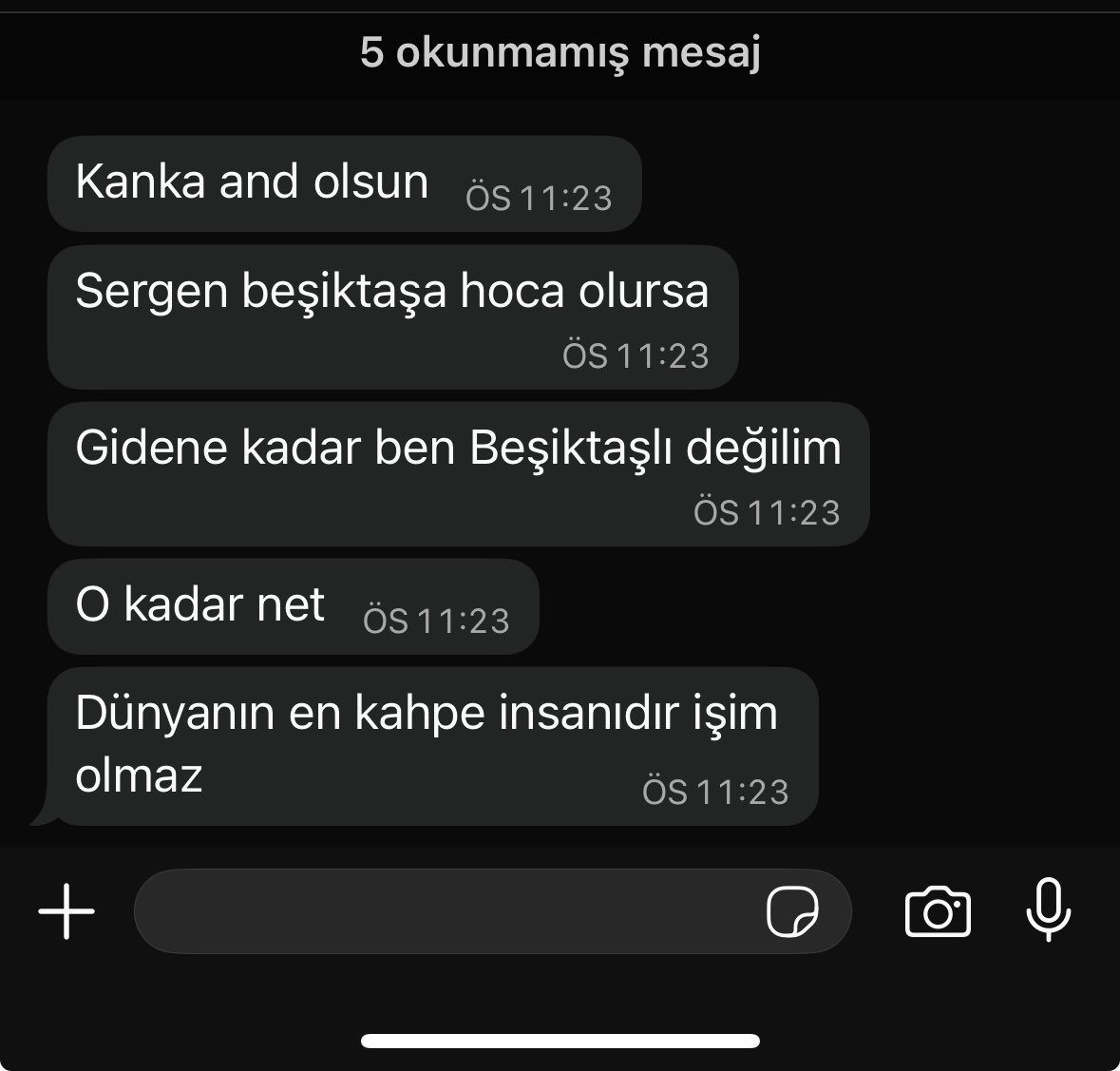 Çok sevdiğim bir kardeşimin sergen hakkındaki yorumu