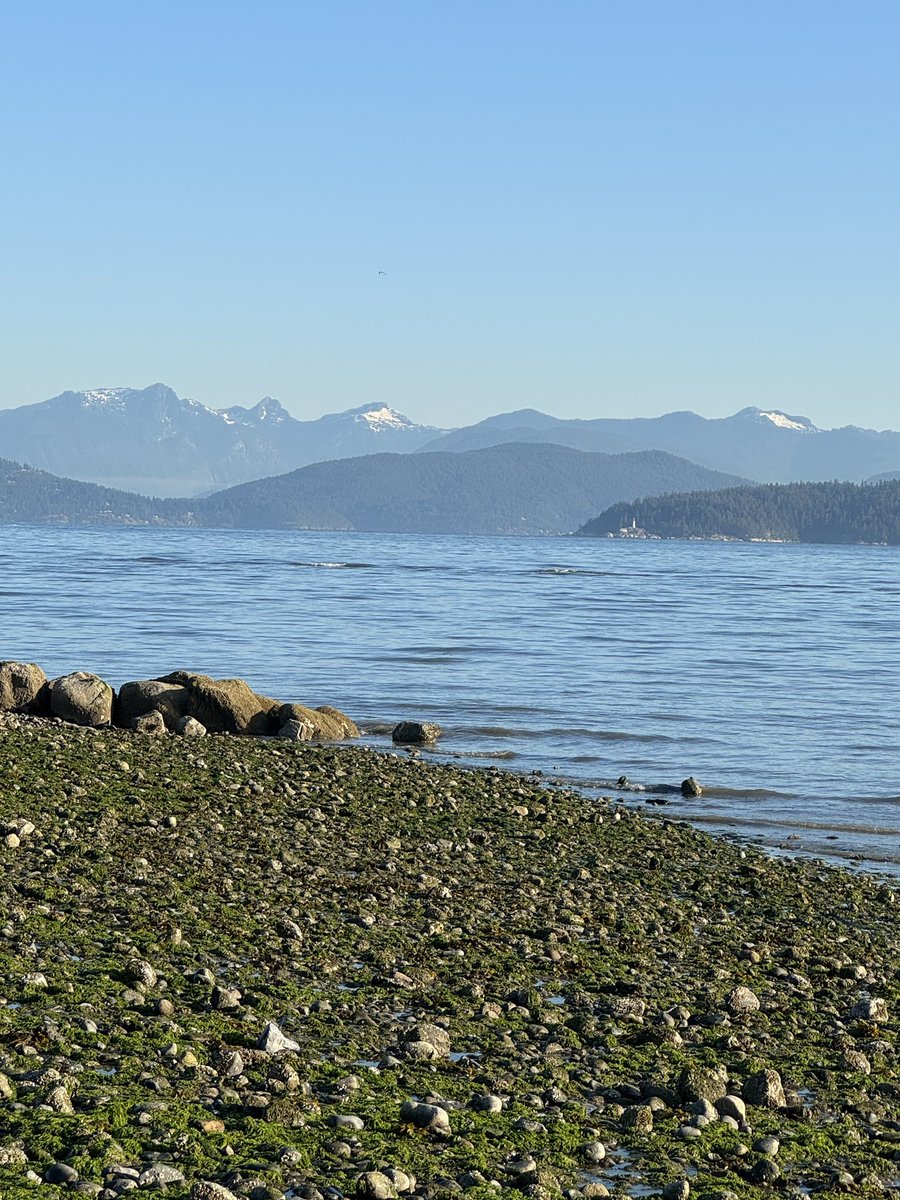 jackli202206's tweet image. A lonely beach in early morning