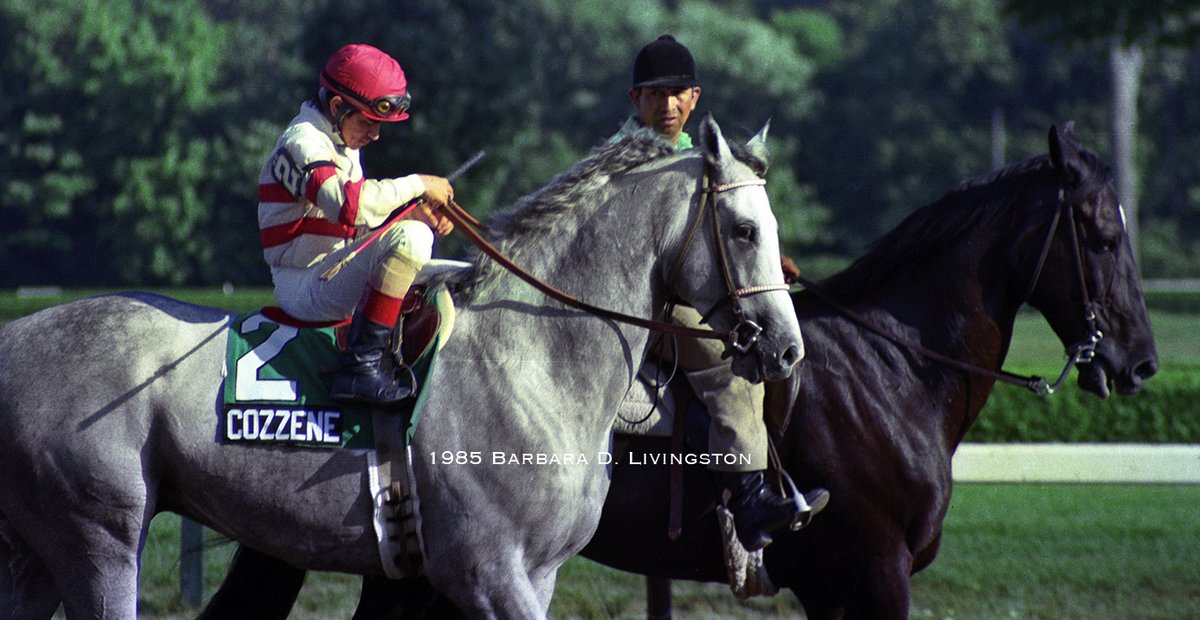 COZZENE, Walter Guerra up, before the 1985 Bernard Baruch (G2) at Saratoga

COZZENE finished 2nd by a neck to Win that day but then won the G2 Longfellow.  Nov. 2, he won the G1 Breeders' Cup Mile at Aqueduct. He was that year's champ grass male and then a highly successful sire.