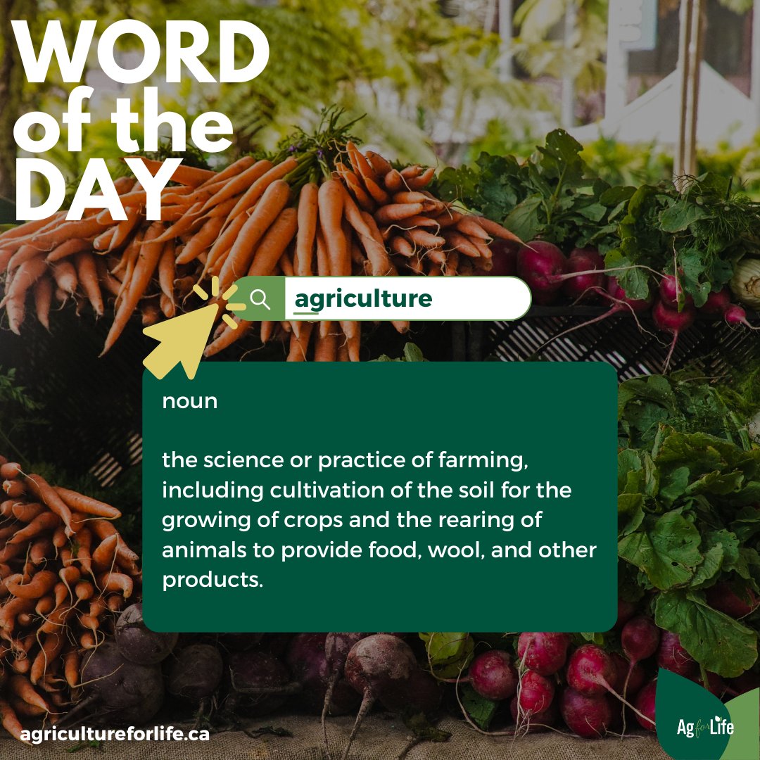 #WordOfTheDay