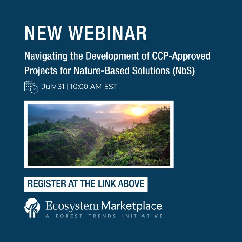 🚨WEBINAR🚨Join us on July 31st at 10 AM ET for a webinar to explore and better understand how project developers are transitioning to CCP-approved methodologies.

Register here: lnkd.in/gntYXuaP