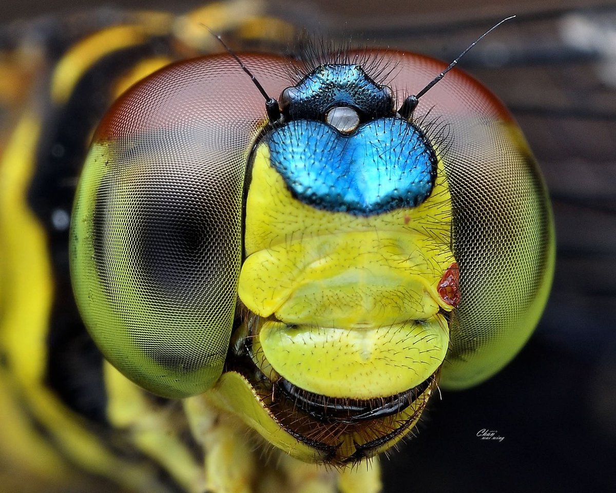 Hiç kendi kendine olmuş gibi bir hali var mı ?!