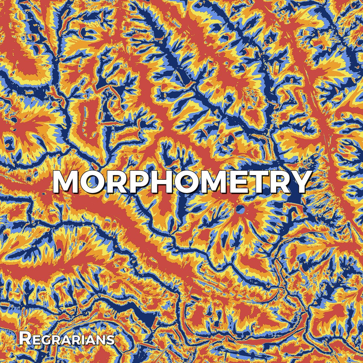 REGRARIANS BASE MAP SERVICE 
~ Morphometry Map

This unique custom made map helps outline landscape elements, similarly to the Landforms output but with more focus on identifying convex and concave shapes, and the transition between them. It can be incredibly useful in quickly