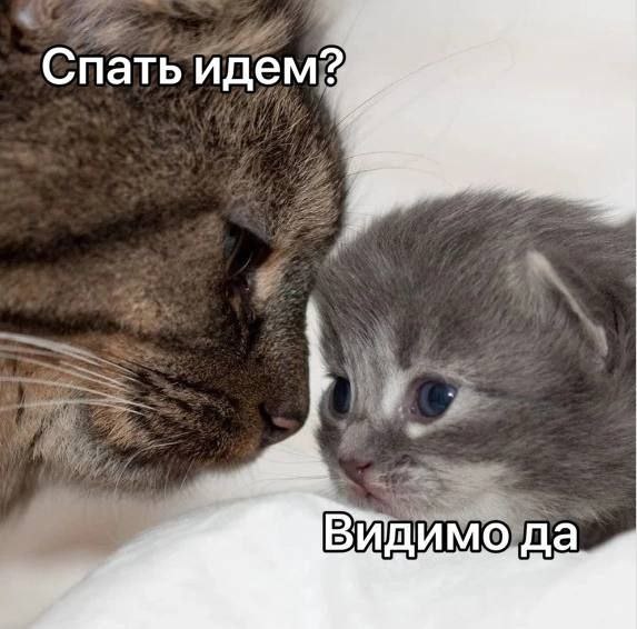 mikhasya8080's tweet image. 