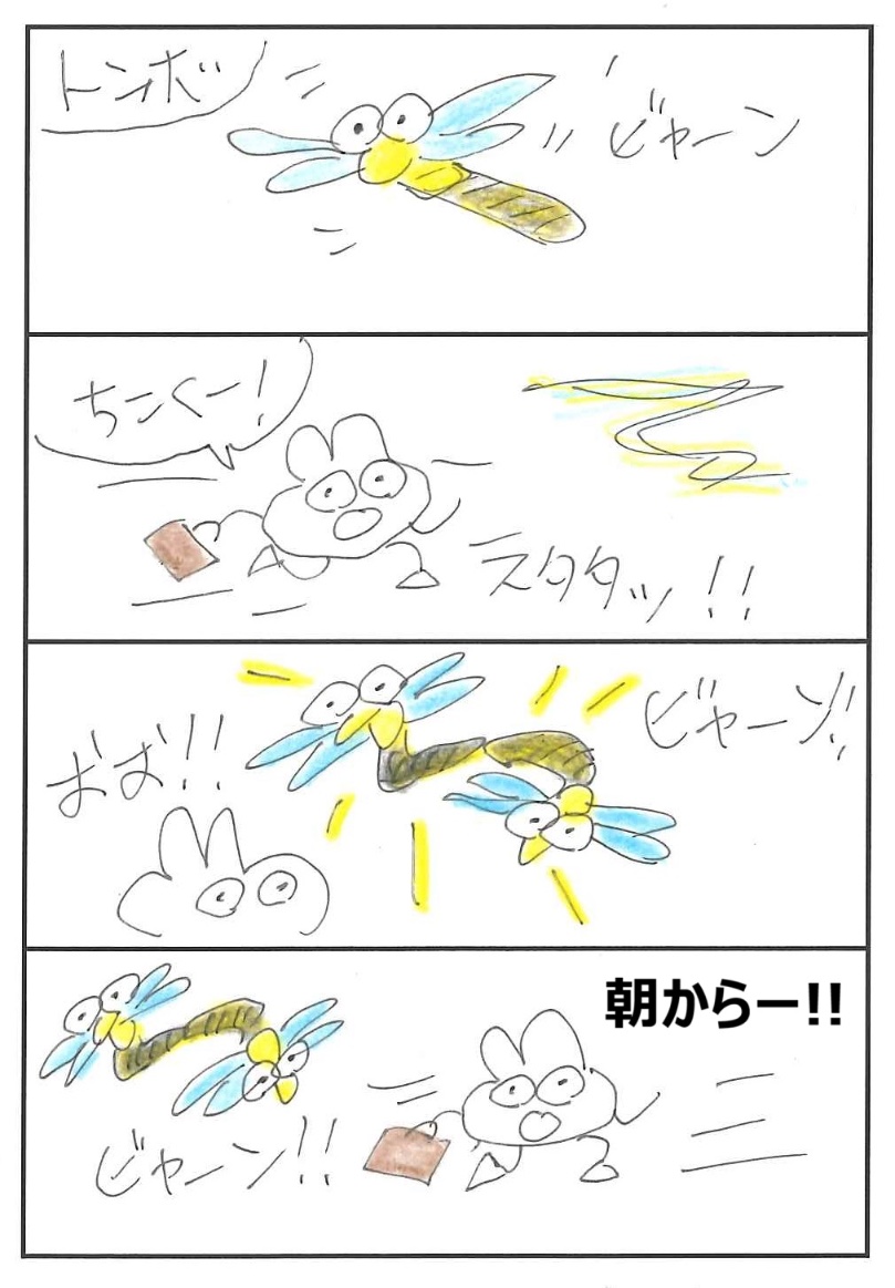 QpitUsa55547's tweet image. うさぎくん4コマまんがNo.645

おはようございます🐰💤
暑いけど、トンボは元気🐝💕🐝