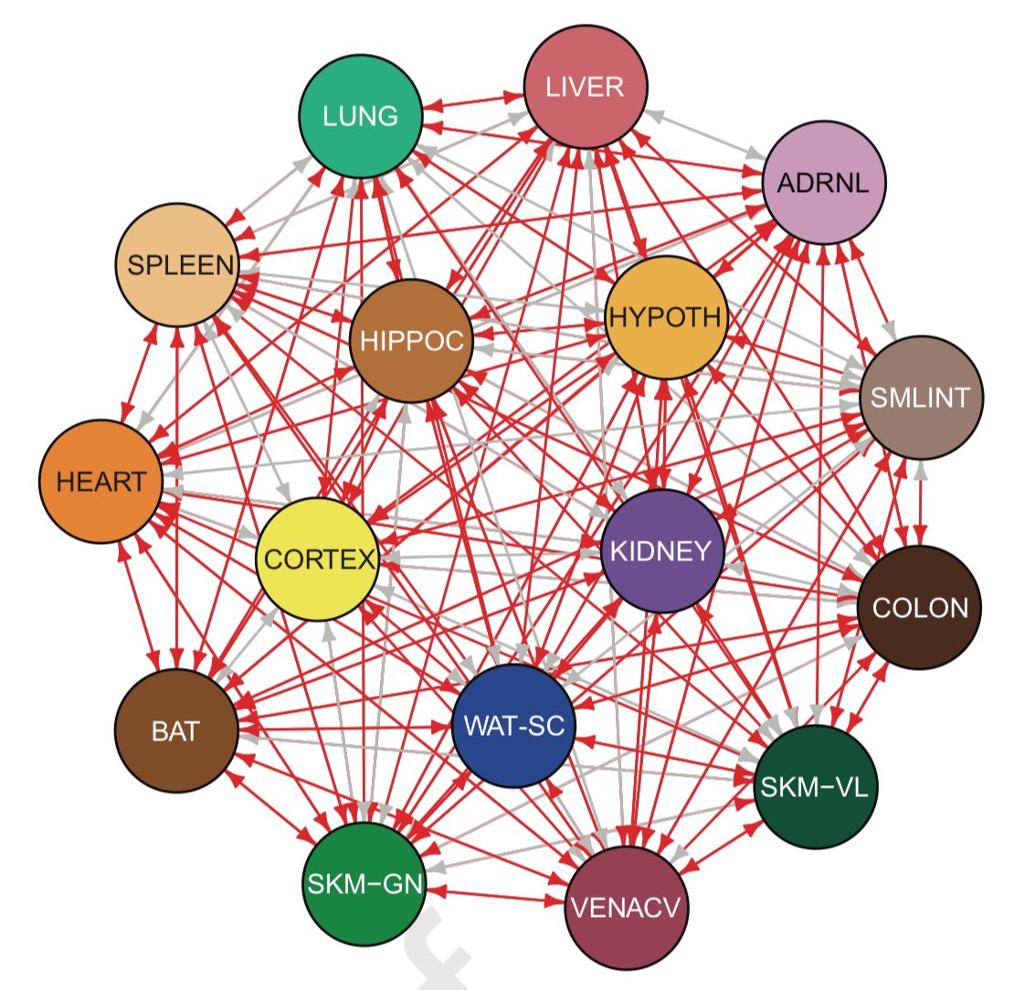 DanielJDrucker's tweet image. A multi-tissue atlas of #exercise induced endocrine interactions in rats, serving as a resource for novel exerkine discovery and mechanistic investigation. sciencedirect.com/science/articl…